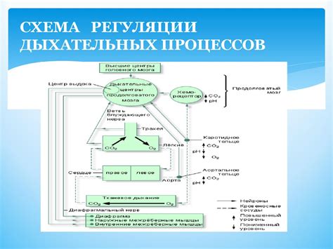 Возможно ли задыхание при зажатом переносе: путаница дыхательных процессов
