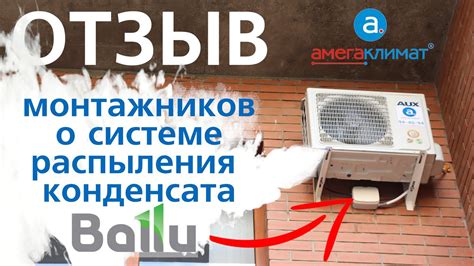 Возможные негативные последствия использования конденсата кондиционера для полива растений