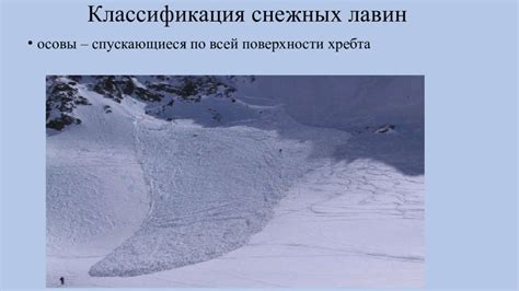Возможные проблемы при сталкивании с постоянным нахождением влажностью на голове