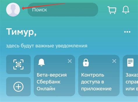 Возможные трудности при проверке баланса на личном счете в Сбербанке через интернет