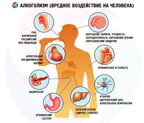 Вредные привычки и их воздействие на качество и безопасность донорской крови