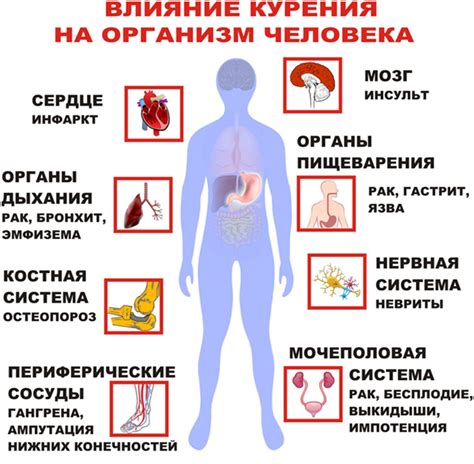 Вред пыли в ушах и его влияние на здоровье