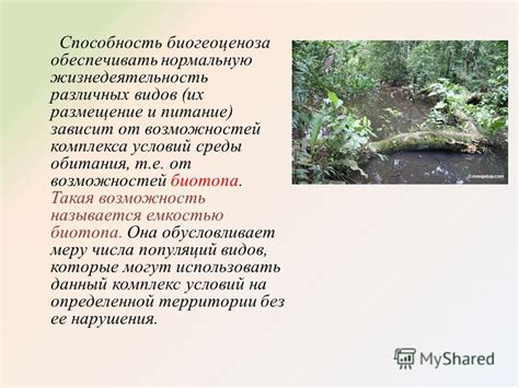 Выбор водного биотопа и снаряжение его обитания