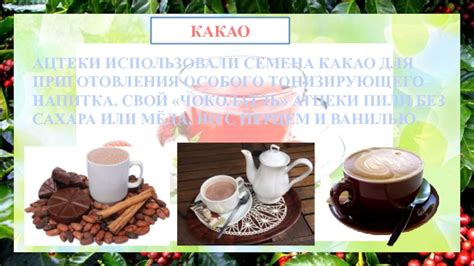 Выбор и подготовка компонентов для приготовления домашнего тонизирующего напитка