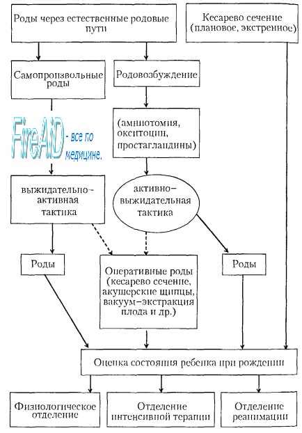 Выбор материала: предпочтительные варианты ночных средств после родоразрешения