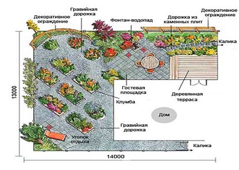 Выбор места для размещения растения: важные аспекты