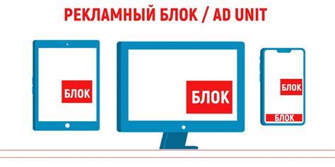 Выбор места и создание оптимальных условий для постройки апиария в грунте