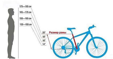 Выбор оптимальной рамы для вашего роста