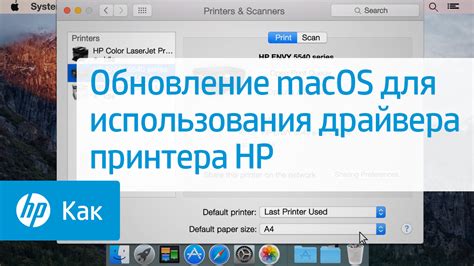 Выбор подходящего программного обеспечения и драйверов для МФУ: шаги к установке