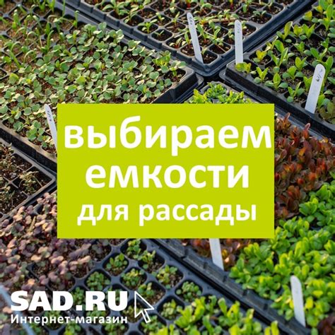 Выбор подходящей культуры: