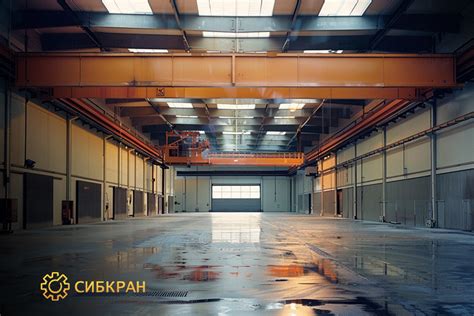 Выбор подходящей модели "хаги ваги": основные критерии и рекомендации