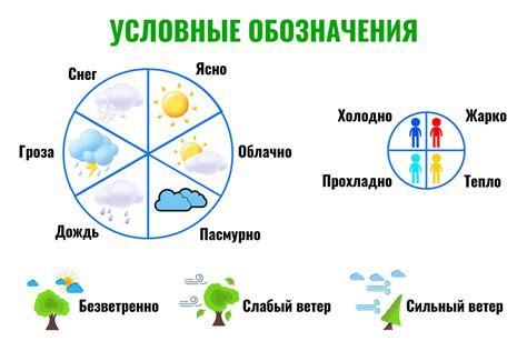 Выбор подходящей погоды для старта работ важен