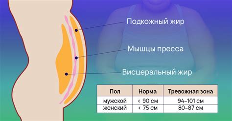Выбор правильной оберточной пленки для эффективного снижения объема в талии и околобрюшной области