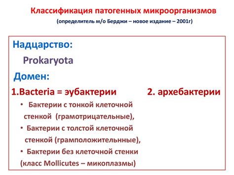 Выявление наличия патогенных микроорганизмов в системе кондиционирования