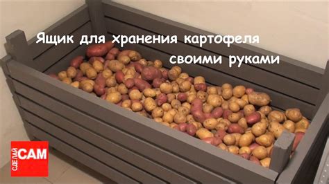 В пакетах: простой и доступный способ хранения картошки в идеальном состоянии
