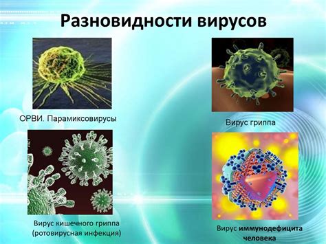 Глобальная проблема: распространение вирусных инфекций