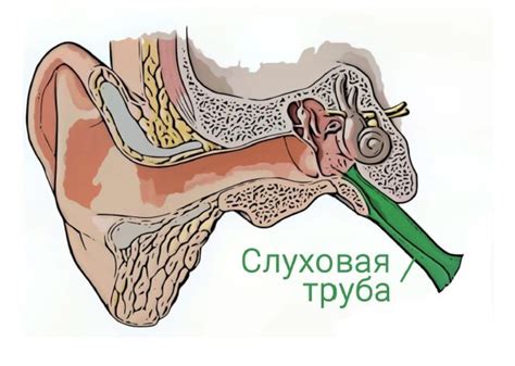 Давление на ухо