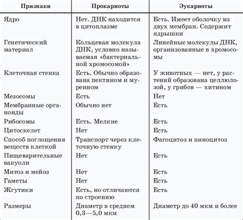 Декада – особенности и отличия от месяца