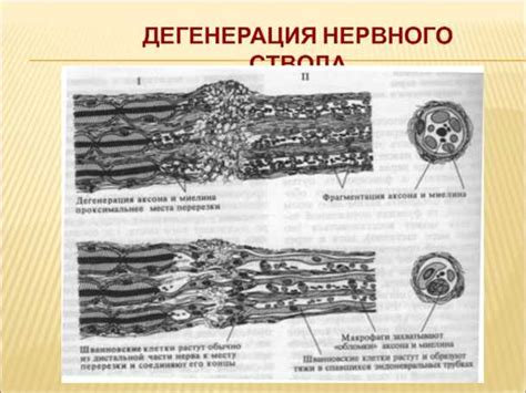 Диагностика прогрессирования патологического процесса на повреждении хрящевой ткани