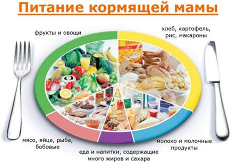 Диетические особенности питания молодой мамы