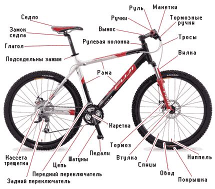 Дополнительные аспекты, воздействующие на выбор конструкции велосипеда.
