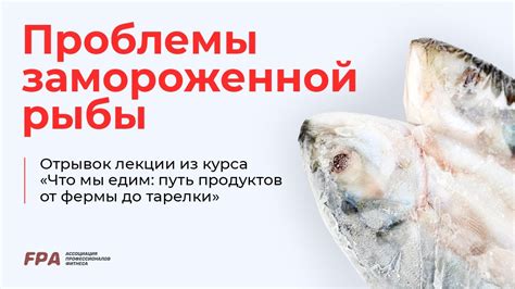 Дополнительные подсказки для эффективного приготовления замороженной рыбы