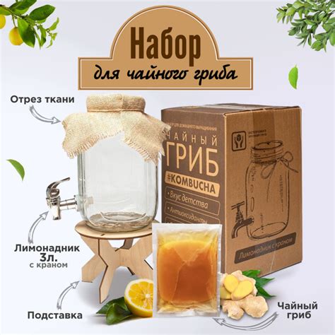 Дополнительные условия для сохранения ценных свойств чайного гриба