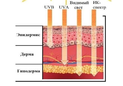 Забота о коже: сокращение воздействия ультрафиолетовых лучей 