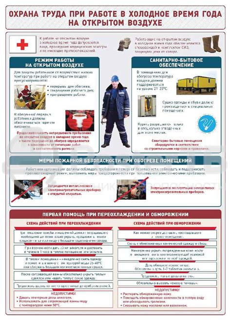 Забота о корнях при проведении пересадки в холодное время года