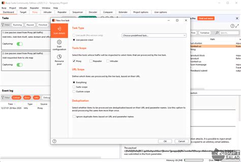 Защита веб-приложений: значимость Burp Suite Professional
