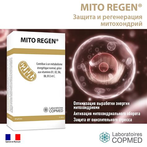 Защита и регенерация