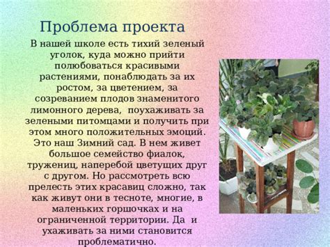 Зеленый уголок радости: прелести проживания с малышом на загородке