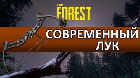 Зе Форест: значение возрождения растений