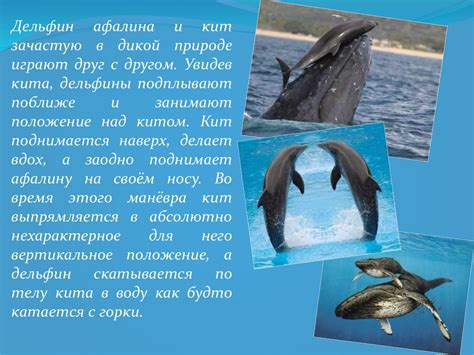 Знакомство с прессом: удивительные факты о его значимости для общей физической формы