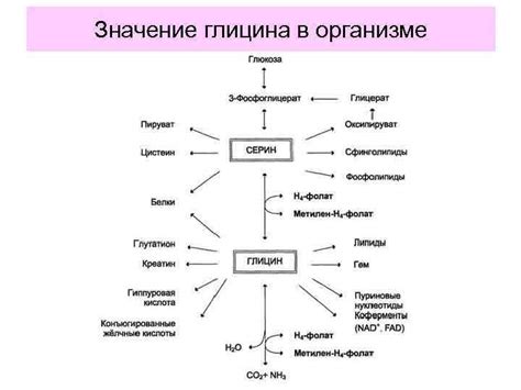 Значение глицина в медицине