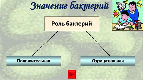 Значение ниаспама в жизни взрослых