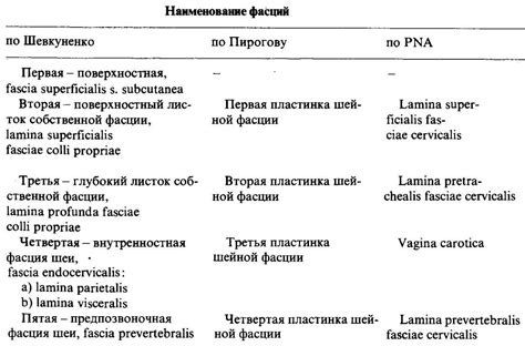 Значение фасции в организме и ее воздействие