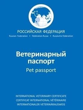 Значимость ветеринарного паспорта и его ключевые функции