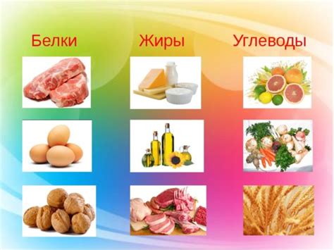 Значимость внутреннего и поверхностного жира для состояния здоровья