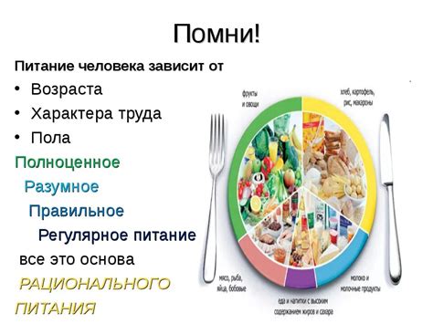 Значимость питания для поддержания нормальной деятельности организма