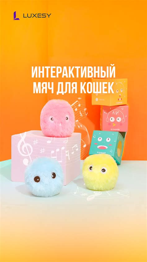 Игры и развлечения для покоренного пушистого друга