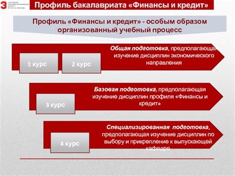 Изучение дисциплин экономического профиля: ключевые предметы для расширения образования