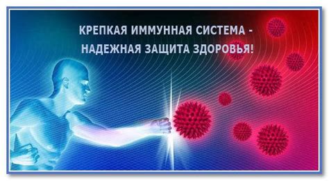 Иммунная система: защитник организма
