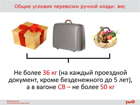 Информация о требованиях и инструкциях для перевозки моющих средств в ручной клади