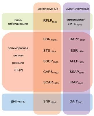 Использование маркеров и их роль