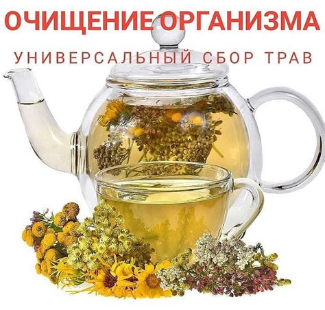 Использование настоек и отваров трав для эффективного очищения волос от остатков цветного тоника