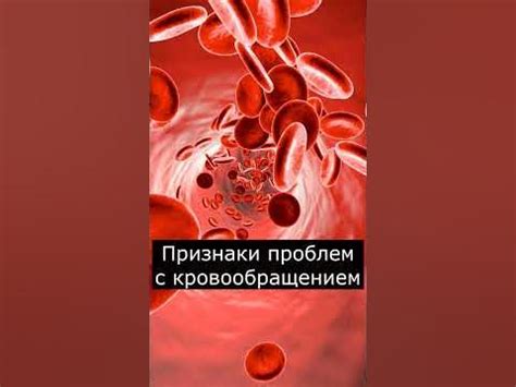 Исследования, способствующие выявлению проблем с кровообращением