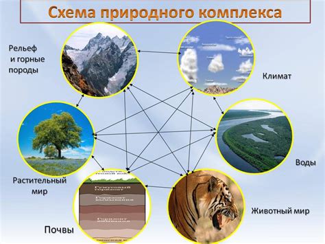 Исследуйте природу в поисках уникальных компонентов