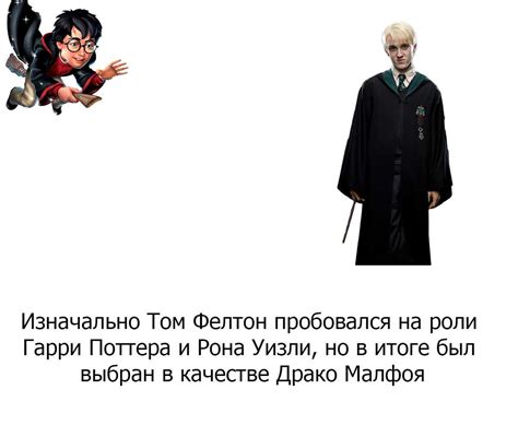 История выбора имени для пернатого друга
