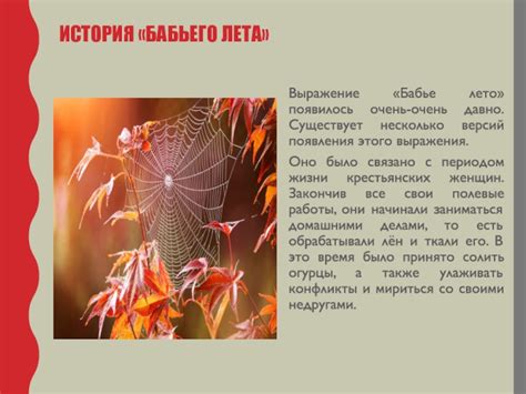 История появления известного выражения, как лед в лето